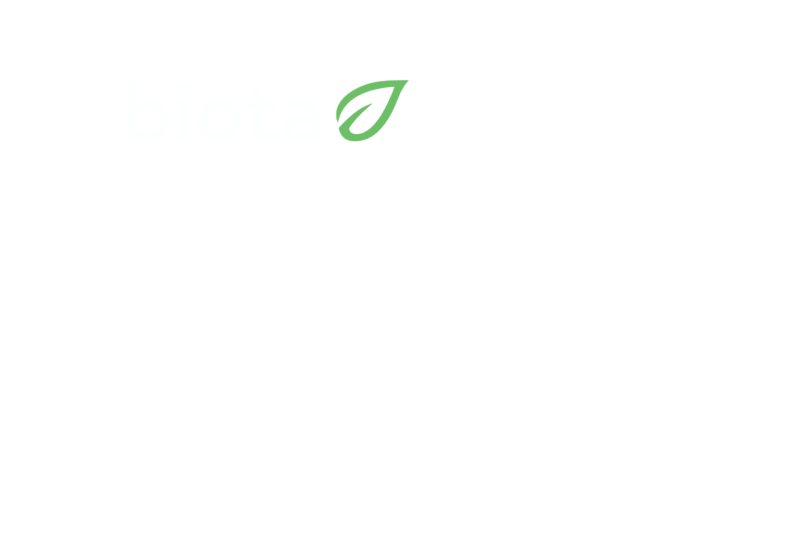 Special logo to celebrate 20th anniversary. Twenty years of building biotas.